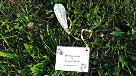 Z Holandii do Trzciany. Balon znaleziony na drzewie Z Holandii do Trzciany. Balon znaleziony na drzewie