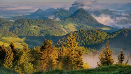 Magurski Park Narodowy