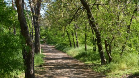 Nadleśnictwo Dukla