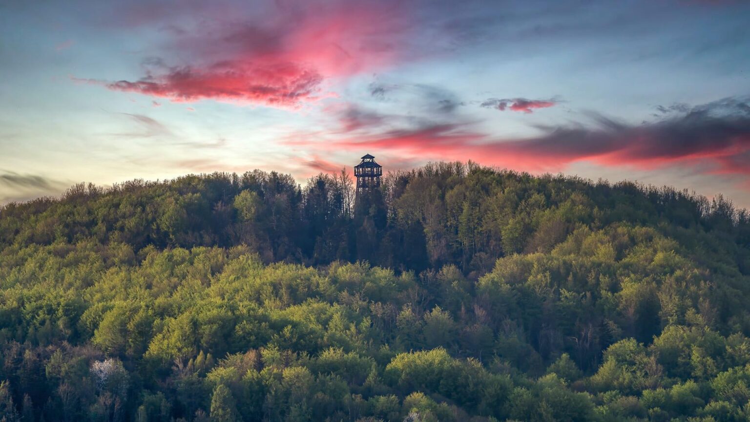 Wieża Widokowa Góra Cergowa