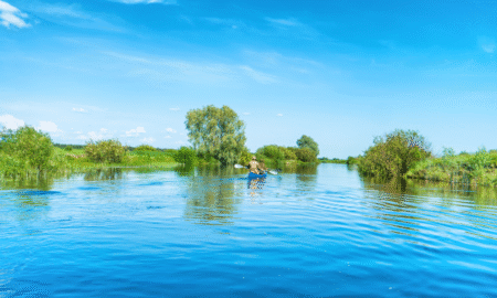 Spływy kajakowe na Podkarpaciu – przygoda dla całych rodzin